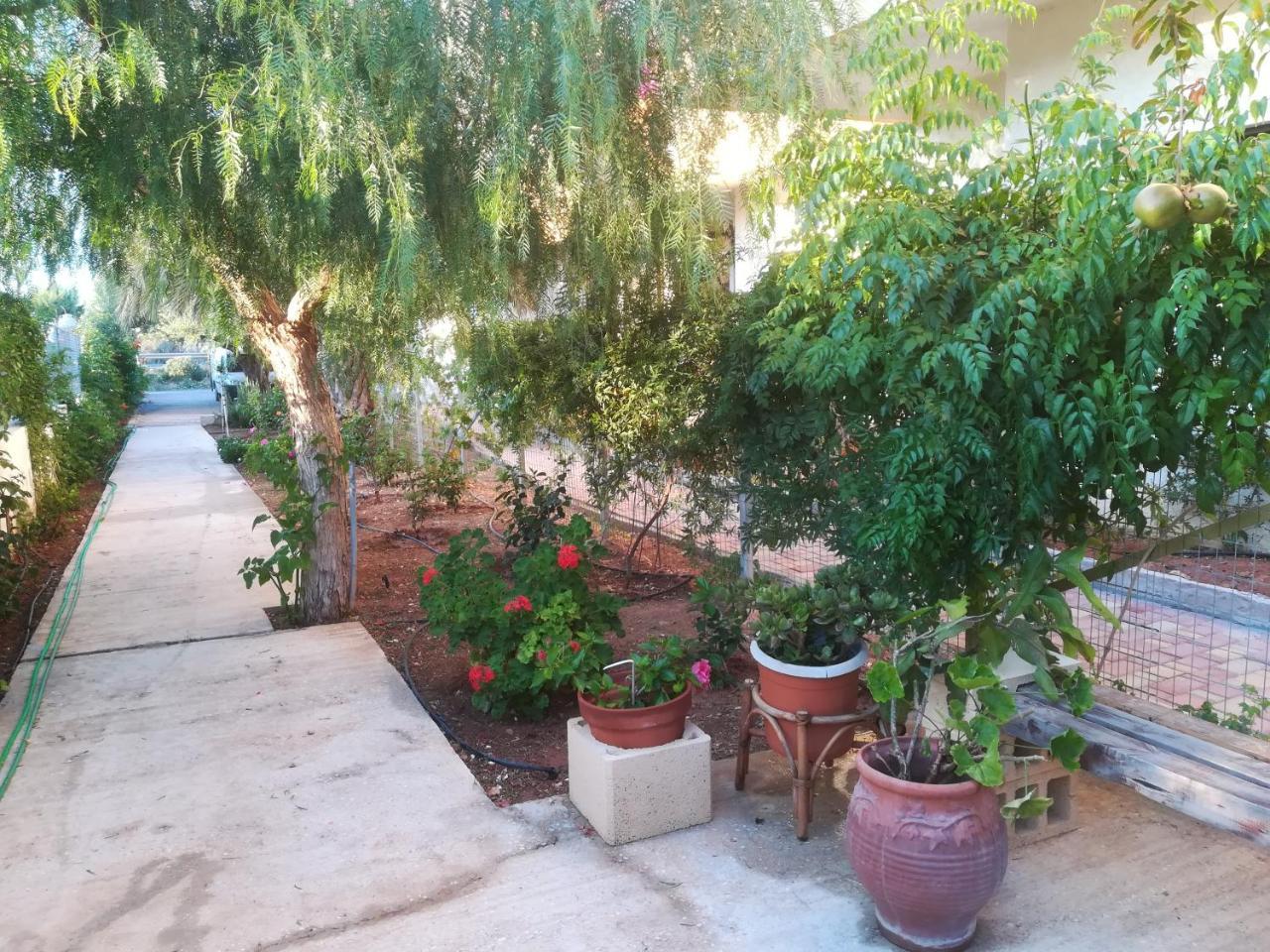Appartamento Marigianna Gouves Esterno foto